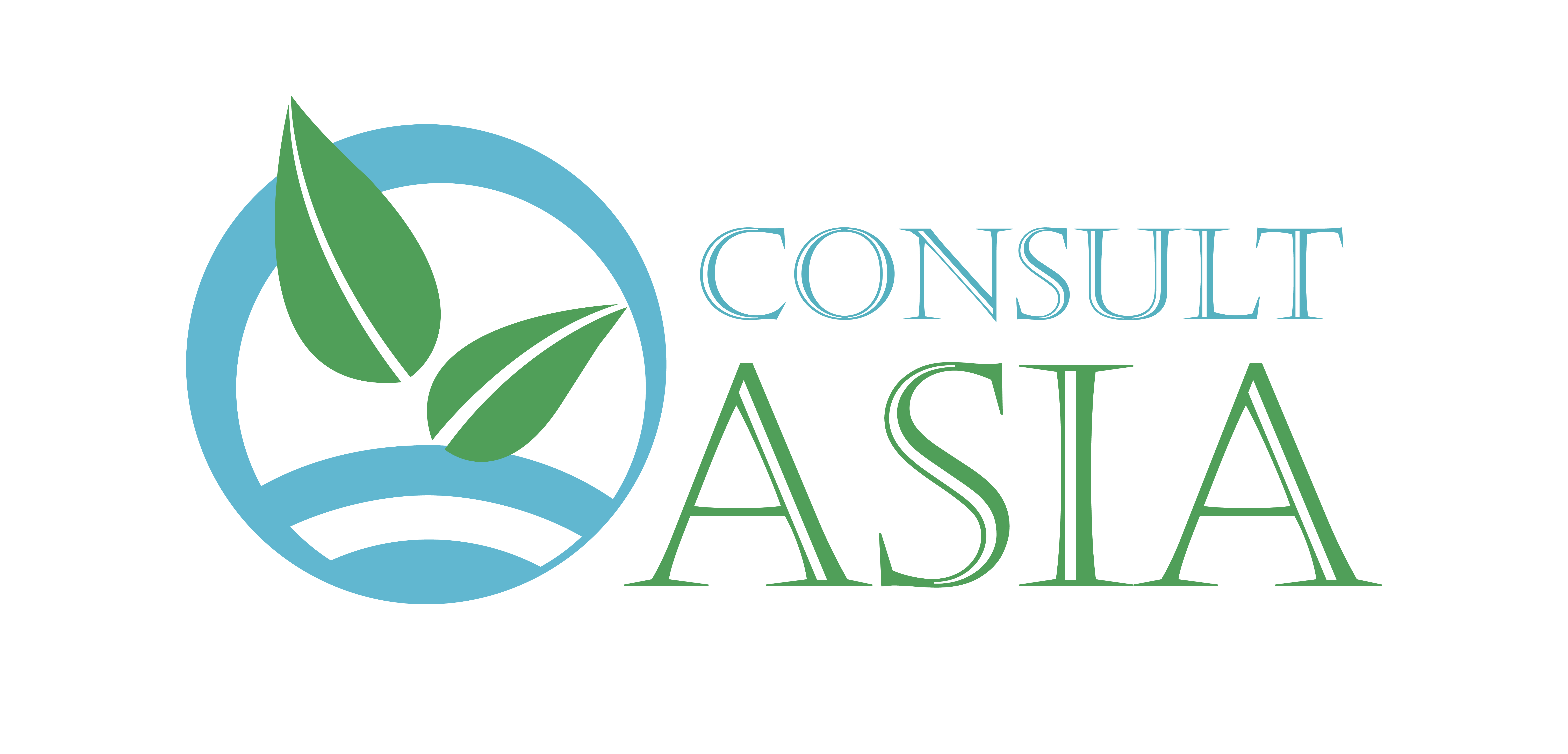 Asia Consult